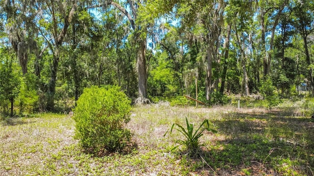 105 NE 239th Ave, Old Town, FL 32680 - photo 14