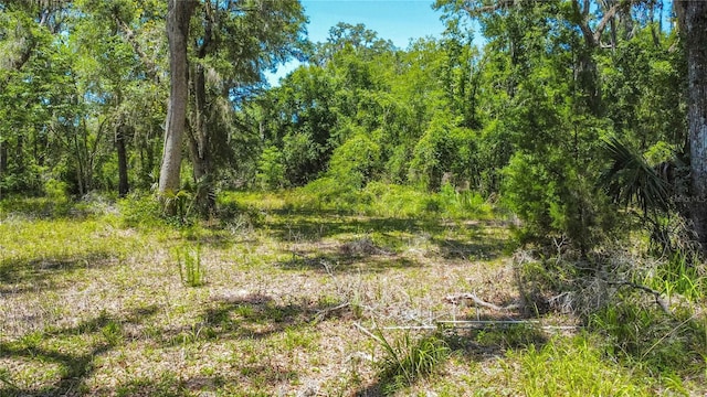 105 NE 239th Ave, Old Town, FL 32680 - photo 15