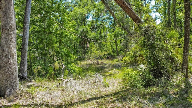 105 NE 239th Ave, Old Town, FL 32680 - photo 16