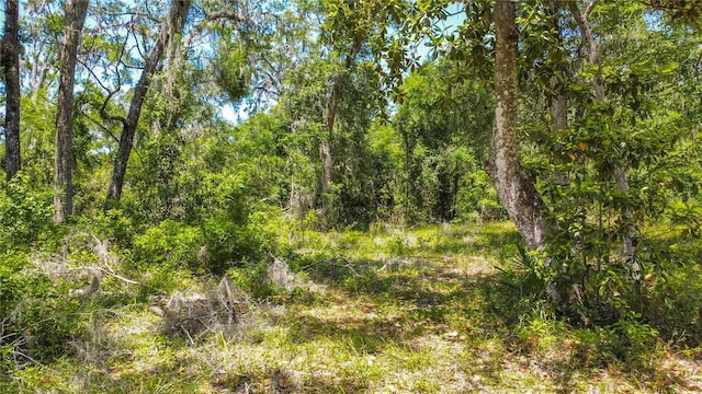 105 NE 239th Ave, Old Town, FL 32680 - photo 17