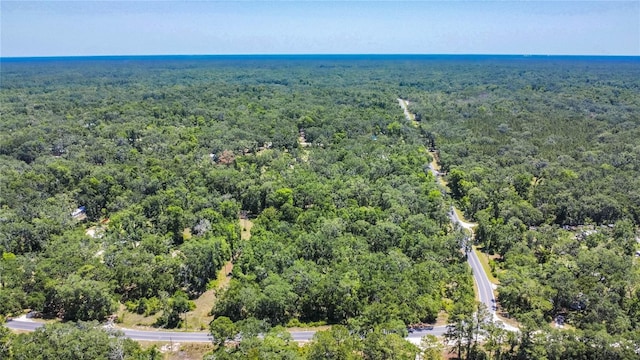 105 NE 239th Ave, Old Town, FL 32680 - photo 20
