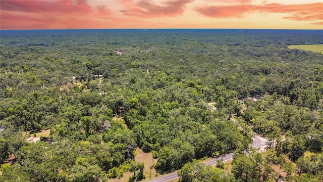 105 NE 239th Ave, Old Town, FL 32680 - photo 21