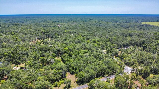 105 NE 239th Ave, Old Town, FL 32680 - photo 22