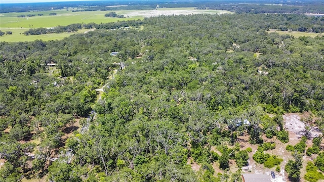 105 NE 239th Ave, Old Town, FL 32680 - photo 24