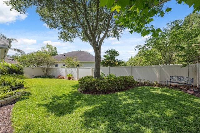 3243 Stonegate Falls Dr, Land O Lakes, FL 34638 - view of yard