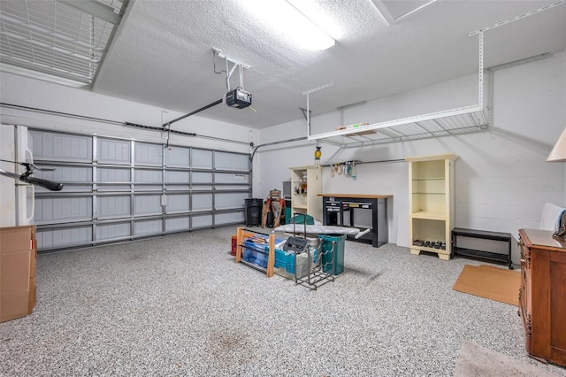 8431 Ocean Tides Cv, Parrish, FL 34219 - garage with a garage door opener