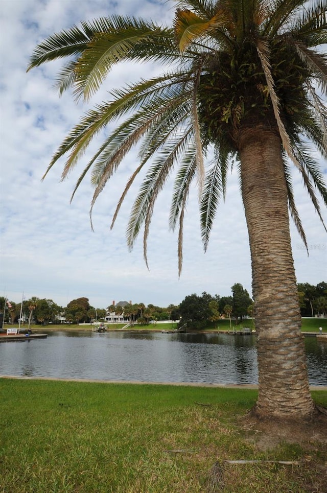 124 Athens St, Tarpon Springs, FL 34689 - water view