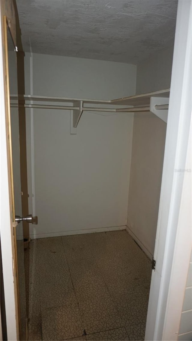 5636 Dolores Dr, Holiday, FL 34690 - view of walk in closet