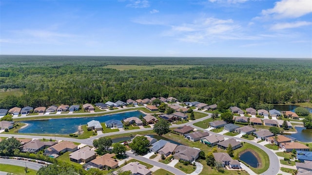 9407 Burnam Dr, Weeki Wachee, FL 34613 - aerial view of property's location featuring a heavily wooded area and a nearby body of water
