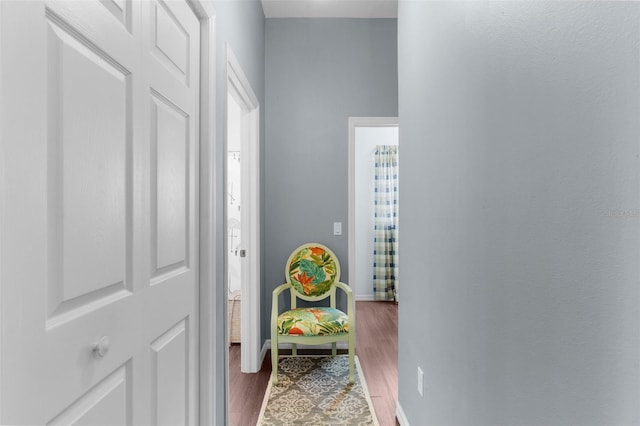 9407 Burnam Dr, Weeki Wachee, FL 34613 - corridor with wood finished floors and baseboards