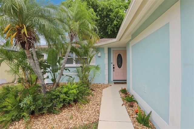 4942 Blue Heron Dr, New Port Richey, FL 34652 - doorway to property with stucco siding