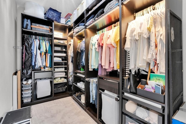 12420 Rangeland Blvd, Odessa, FL 33556 - view of walk in closet