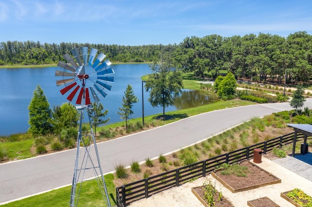 12420 Rangeland Blvd, Odessa, FL 33556 - water view with a forest