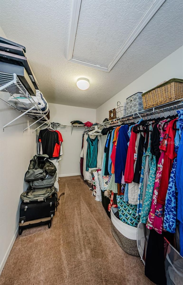 14008 Lugano Ct, Hudson, FL 34669 - spacious closet featuring attic access and carpet floors