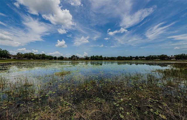 14008 Lugano Ct, Hudson, FL 34669 - water view
