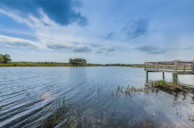 14008 Lugano Ct, Hudson, FL 34669 - dock with a water view