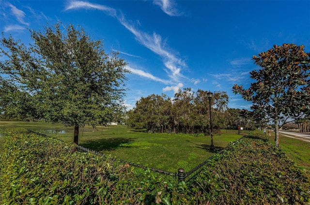 14008 Lugano Ct, Hudson, FL 34669 - view of yard