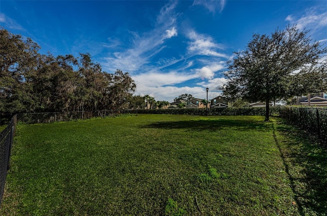 14008 Lugano Ct, Hudson, FL 34669 - view of yard