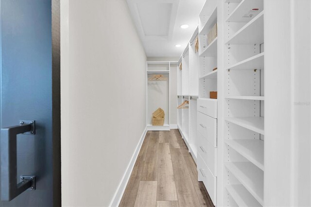 18102 Spencer Rd, Odessa, FL 33556 - walk in closet with light wood-style floors