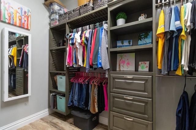16697 Courtyard Loop, Land O Lakes, FL 34638 - walk in closet with light wood-style flooring