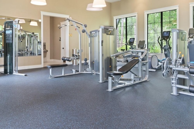 16697 Courtyard Loop, Land O Lakes, FL 34638 - view of exercise room