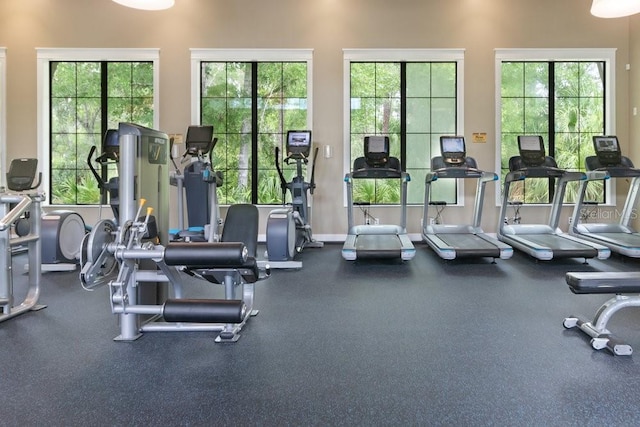 16697 Courtyard Loop, Land O Lakes, FL 34638 - view of exercise room