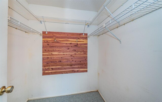 3838 Lanyard Ct Unit B, New Port Richey, FL 34652 - walk in closet with carpet