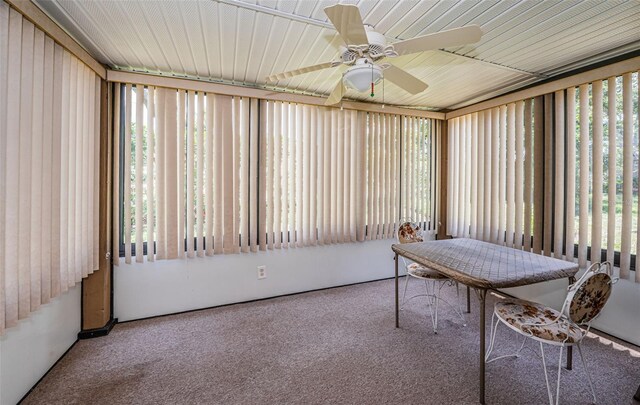 3838 Lanyard Ct Unit B, New Port Richey, FL 34652 - sunroom / solarium with plenty of natural light and a ceiling fan