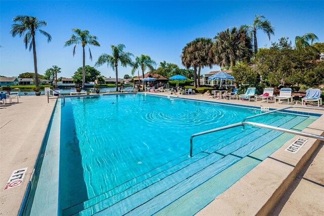 3838 Lanyard Ct Unit B, New Port Richey, FL 34652 - community pool featuring a patio