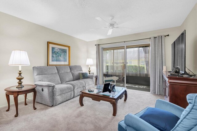 9334 Whitstone Ct, New Port Richey, FL 34655 - photo 3