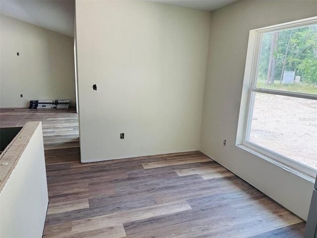 11406 Labrador Duck Rd, Weeki Wachee, FL 34614 - photo 6