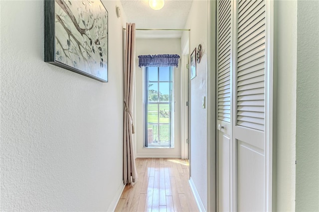 8132 Summersong Ct, Spring Hill, FL 34606 - corridor with light wood finished floors, baseboards, and a textured wall