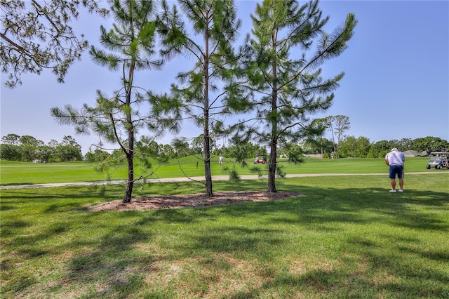 8132 Summersong Ct, Spring Hill, FL 34606 - view of community featuring a yard