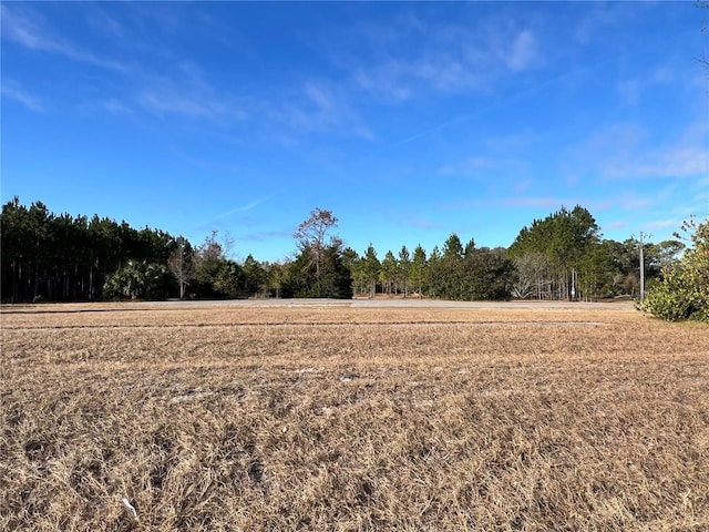 12250-B NW US Highway 19 N, Chiefland, FL 32626