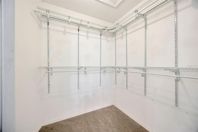 11291 Countrywood Ct, Spring Hill, FL 34609 - walk in closet with carpet flooring