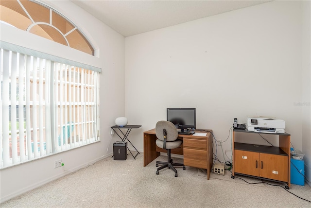 5423 Abagail Dr, Spring Hill, FL 34608 - office space with light carpet