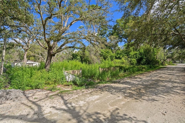 3241 Taffeta St, Dade City, FL 33523 - photo 1