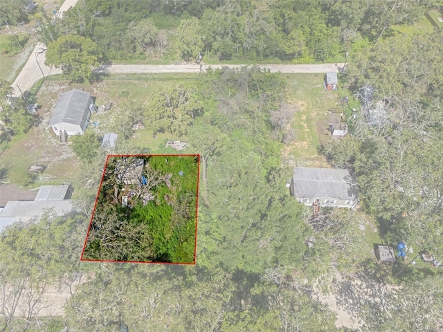 3241 Taffeta St, Dade City, FL 33523 - photo 8