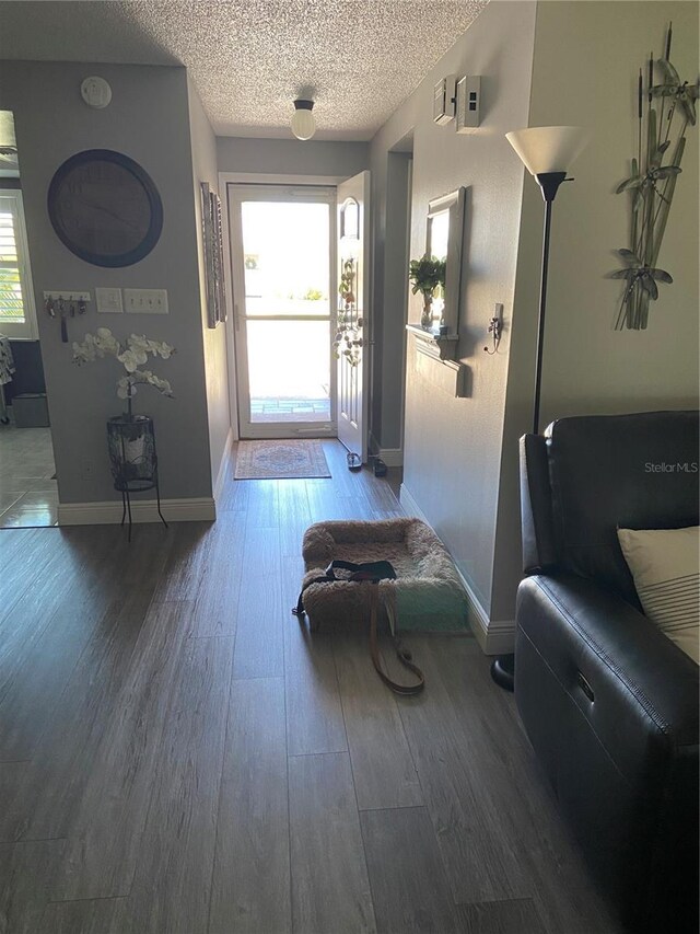 9622 Brassie Ct Unit 9, New Port Richey, FL 34655 - entryway featuring plenty of natural light, wood finished floors, baseboards, and a textured ceiling