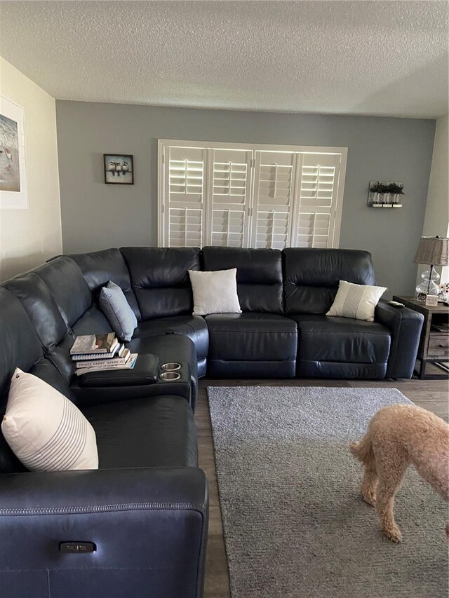 9622 Brassie Ct Unit 9, New Port Richey, FL 34655 - living room with wood finished floors and a textured ceiling