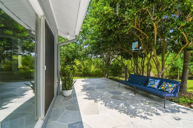 10301 Nina Ct, New Port Richey, FL 34654 - view of patio with view of scattered trees