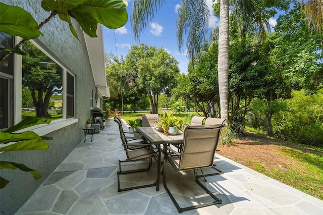 10301 Nina Ct, New Port Richey, FL 34654 - view of patio with outdoor dining space, grilling area, and view of scattered trees