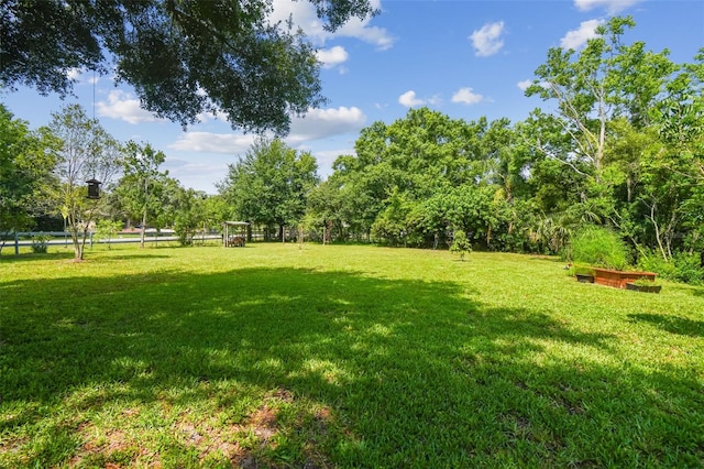 10301 Nina Ct, New Port Richey, FL 34654 - view of green lawn
