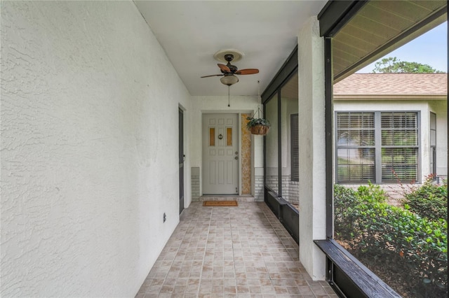 8700 Wind Mill Dr, New Port Richey, FL 34655 - photo 11