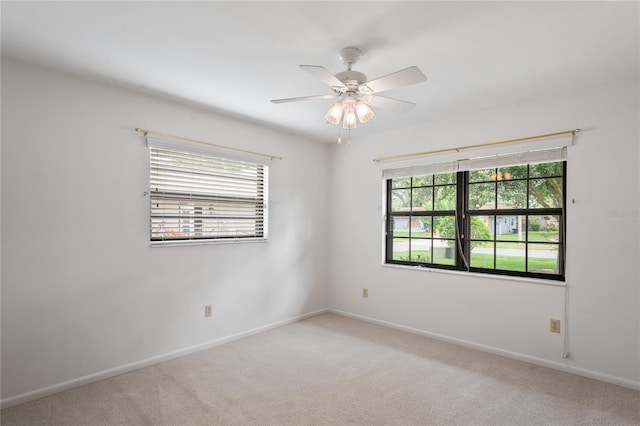 8700 Wind Mill Dr, New Port Richey, FL 34655 - photo 38