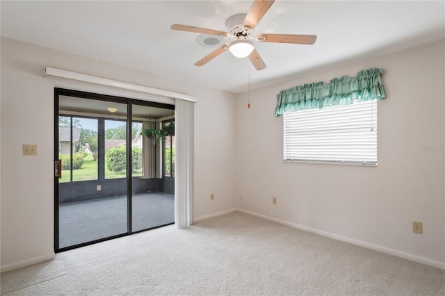 8700 Wind Mill Dr, New Port Richey, FL 34655 - photo 39