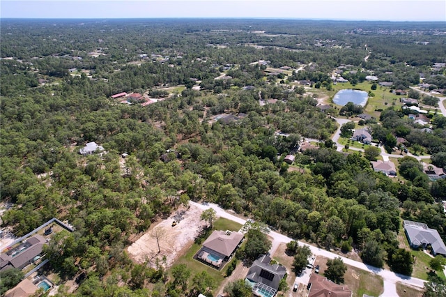 9152 Bunting Rd, Weeki Wachee, FL 34613 - drone / aerial view of a forest and a large body of water