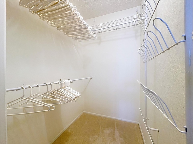10111 Glen Moor Ln, Port Richey, FL 34668 - spacious closet featuring light colored carpet