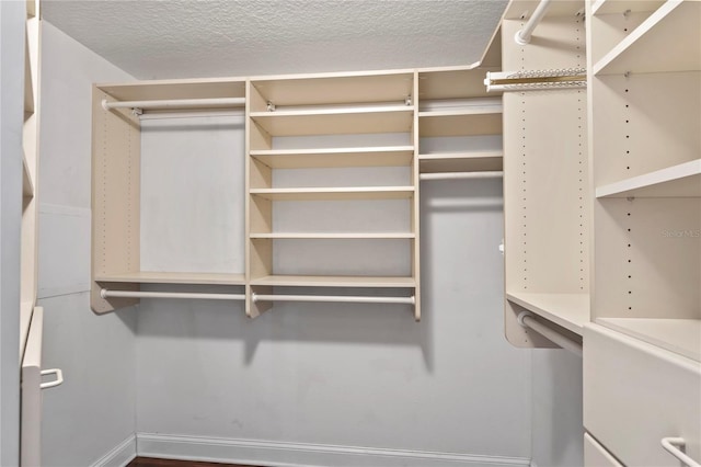 4923 Fort Peck Rd, New Port Richey, FL 34655 - view of spacious closet