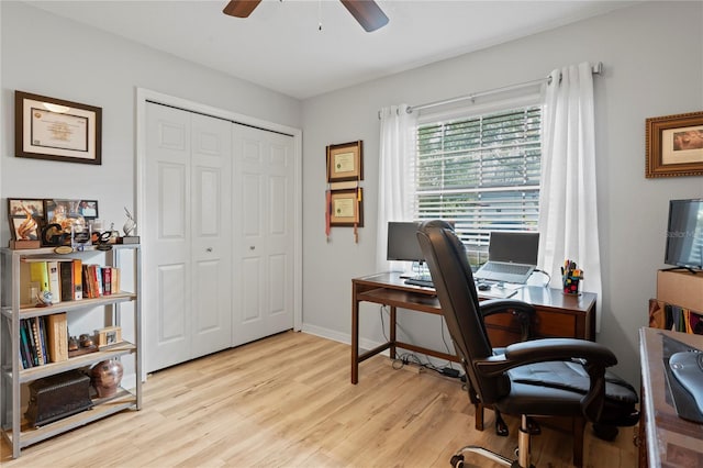 6315 Shane Ln, New Port Richey, FL 34653 - office space with ceiling fan, light wood-type flooring, and baseboards